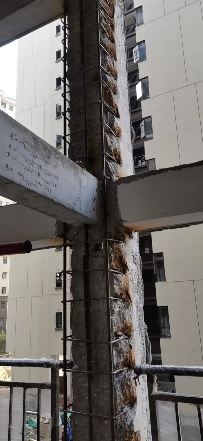 微信图片_2022123010232210